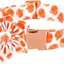UP URARA PUP Halloween Dog Collar with Flower, Pumpkin Cotton Flower Collar for Small Girl Boy Dog, Fall Dog Collar Flower with Durable Metal Buckle, Adorable Pumpkin Pet Collar, S, Neck 10-16in