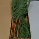 MISSPIN 12 Pcs 19.5 Inches Christmas Norfolk Pine Branches, Norfolk Pine Artificial Christmas Branches DIY Crafts Faux Pine Branches for Xmas Indoor Outdoor Home Decor