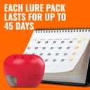 4 x Terro Fruit Fly Traps for Indoors (6 Pack) + 270 Days of Lure Supply