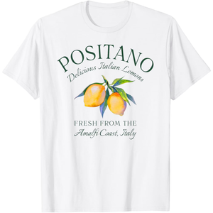 Positano Italy Amalfi Coast Italian Lemons Italian Town T-Shirt
Size 2XL