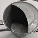 Metal Watering Can for Outdoor and Indoor Plants, Watering Can Decor, 1 Gallon (Zinc Stainless Steel Handle)