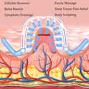 Hefnoya Anti Cellulite Massage Roller, Muscle Massager Cellulite Remover for Leg, Waist, Back, Arm, Calf, Buttocks, Lymphatic Drainage Massager, Fascia Massager Body Sculpting Fats Remover Tool