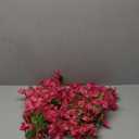 6 PCS Silk Bougainvillea Artificial FlowersUV Resistant, 36 Branches, Long Stems Faux Flower, Realistic Fake Bougainvillea Vines, for Wedding Porch Home Party Garden DIY Decor - 38 inch (Pink)