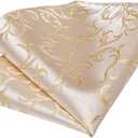 DiBanGu Mens Tie Set Silk Solid Paisley Necktie and Pocket Square Cufflinks Classic Formal Ties for Men Wedding Party (Champagne Floral)