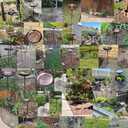 Metal Bird Bath for Outdoors, 12" Dia Bowl with Stable Upgrades Stake Birdbaths Garden Yard Lawn Decor 0.7 Gallon