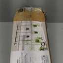 Umbra Triflora Hanging Planter, Set of 5, Black