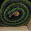 Integrated 5x4ft 6x4ft & 6x5ft 26mm-31mm Golf Mat with Ball Tray, Thickening Golf Mats Practice Outdoor & Indoor Artificial Turf Matt with 3 Tees