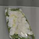 27" Artificial Phalaenopsis Flowers 6 Pcs White Perhaps Faint Yellow Artificial Orchid Flowers Stem Plants for Home Dcor