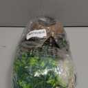 6PCS Crested Gecko Coconut Hut, Lizard Coco Den with Ladder and Reptile Hammock Bearded Dragon Tank Accessories Climbing Hanging Plants Jungle Vine Flexible Reptile Leaves Decor