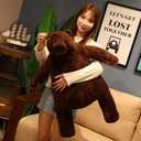 31.5in Dark Brown Teddy Bear Plush Toy Teddy Bear Djungelskog Stuffed Animal Doll Home Decor Birthday Gift for Girls and Boys (31.5in/80cm)