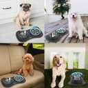 Anipaw Slow Feeder Dog Bowls 3 in 1 Stainless Steel Food and Water Bowls with Non-Spill and Skid Silicone Mat to Slow Down Eating for Large Medium Small Breed Size Dogs and Cats
