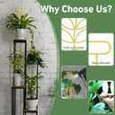 Larger 23inch Plant Trellis for Climbing Plants Indoor, Trellis for Potted Plants with Ties, Metal Climbing Plant Support for Houseplant Flower Pothos Trellis, 4 Different Panels, Pale Gold