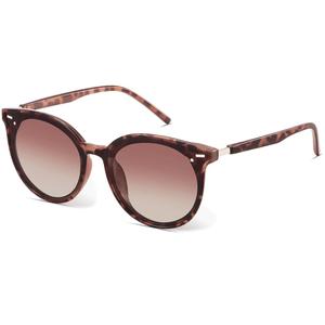 Livho Polarized Sunglasses, Retro & Oversized Shades for Women with Round Lenses