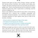 Livin' the Drone Life: An Insiders Guide to Flying Drones for Fun and Profit