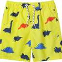 LIZENS Boys Swim Trunks UPF 50+ Quick Dry Beach Bathing Suit Toddler Swimsuit Swimwear