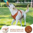 No Pull Dog Harness, Puppy Vest with Front Clip for Small Medium Large Sized Dog(Carmel Brown,M)