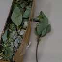 Winlyn 20 Pcs Mixed Artificial Oval Eucalyptus Leaves Bulk with White Seeds Stems and Spray for Vase Floral Wreath Bouquets Wedding Greenery Decoration