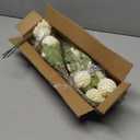 VIERENA 6 Pcs Faux Silk Pompon Mum Artificial Flowers for Vase -27", Bulk Fake Chrysanth Branches with Stems for DIY Bouquet Centerpieces Wedding Fillers Arrangements Shower Decorations (Cream)