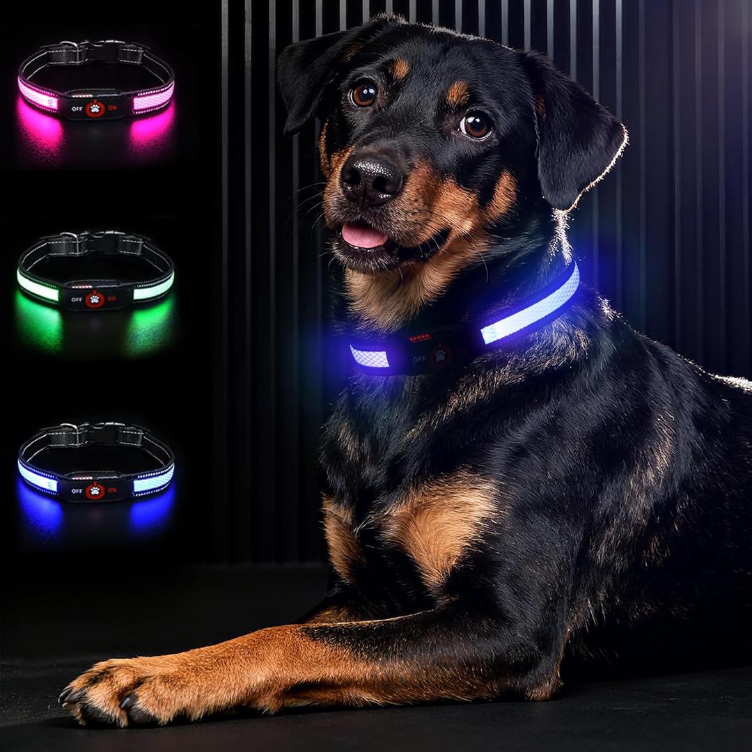 Light Up Dog Collar-Rechargeable & Long-Lasting Power LED Dog Collar Lights for Night Walking, Waterproof & Safety Glowing Collars for Large Dogs [Blue-L]