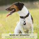 2 x Compatible with AirTag Holder Case with Keychain, 4 Pack Protective Cases Cover Tags GPS Tracker Item Tag Finders Accessories for Keys, Bags, LuggageBlack/White/Red/Blue