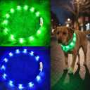 Light Up Dog Collar, Rechargeable Glowing Dog Collar, Light Dog Collar for Night Walking with 1640 FT of Visibility - Brightest LED Dog Collar Light, 3 Flashing Modes, Keeps Your Pets Safe in The Dark (Blue+Green)