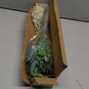 FOTEEWL 70 Pcs Artificial Greenery Stems Box Set,with 8 Kinds of Faux Plants and Fake Flowers for DIY Bridal Bouquets Wedding Floral Arrangement Table Centerpieces Decoration (Sage Green & White)