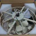Caged Ceiling Fan with Light Flush Mount Fandelier with Light and Remote Reversible 6 Speeds Motor Dia.20 Low Profile Enclosed Ceiling Fan, White