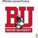 4 x Desert Cactus Boston University 10 Pack Notecards Stationery Cardstock Terriers BU Includes Envelopes Memo Party Thank You (Notecard 1a)