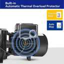 Acquaer Shallow Well Jet Pump,Cast Iron, Well Depth Up to 25ft, 115V/230V Dual Voltage, Automatic Pressure Switch