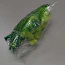 KRK 6inch Pascal Lizard Plush Shoulder Toy, Chameleon Animal Plush, Magnet Buddy Pascal Doll