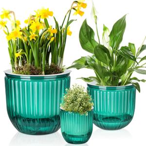3 Pcs Self Watering Pots for Indoor Plants Planters with Drainage Holes 8.3" 6.5" 4.5" Flower Pots Durable Plastic with Wick Rope and Reservoir Emerald Green Clear for Herbs African Violet