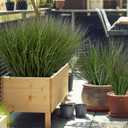 Uqueeten 48PCS 17.3" Fake Plants Artificial Wheat Grass Greenery Plastic Plants Fake Grass Artificial Plants for Outdoor Decor Artificial Grass Plant with Greenery Stems for Indoor Home Decoration