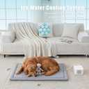 Lucky Tom Pet Pad Cooling System for Summer, Consistent Cooling Water Mat for Dogs and Cats, No Refrigeration or Chemical Gel Needed, Machine Washable Bed, Ideal for Home and Crates (Gray, XL)