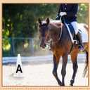 Yexiya 8 Pcs Dressage Cones Plastic Dressage Letters Training Cones Set for Equestrian Athletes and Events Includes A, B, C, E, H, K, F Letters M Letters, White