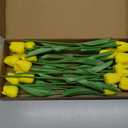 20pcs Yellow Artificial Tulip Fake Flower 12.9 Inch Spring Mother's Day Easter Gift for Home Kitchen Wedding Decoration