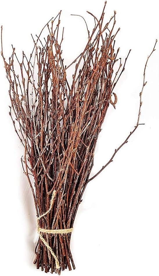 Green Floral Crafts - 3-4 Foot Natural Birch Branches Perfect for Floor Vases, Centerpieces, & Arrangements (3-4 Feet | 10-12 Stems)