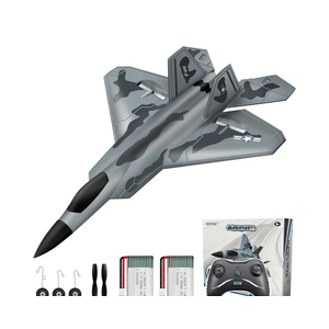 HAWK'S WORK 2 CH RC Airplane, F-22 Plane Ready to Fly, 2.4GHz Remote Control, Easy to Fly RC Glider for Kids & Beginners