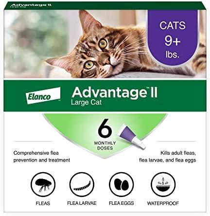 Advantage II Large Cat Vet-Recommended Flea Treatment & Prevention | Cats Over 9 lbs. | 6-Month Supply, Pack of 2