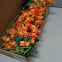 Orange Delphinium Artificial Flowers,8PCS Long Stem Silk Larkspur Flowers 33.5'' Faux Delphinium Stems for Tall Vase Home Wedding Table Decor(Orange)