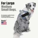 Dog Harness, No-Pull Reflective Dog Vest, Breathable Adjustable Pet Harness with Handle for Outdoor Walking - No More Pulling, Tugging or Choking (Blue, L)