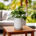 Deep Dream 8 Inch Ceramic Pots for Plants, Heavy Plant Pot for Indoor Outdoor Plants, Large Plant Pot with Drainage Hole and Saucer, Modern Tall Flower Pot, Gifts for Plant Lovers, White