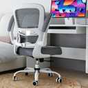 TRALT Office Chair - Ergonomic Desk Chair with Adjustable Lumbar Support, Mesh Computer Chair, Executive Chairs for Home Office Comfortable Lumbar Support (Ash Gray), Pack of 1