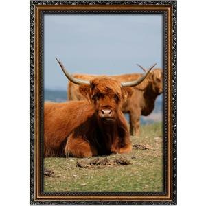 Black 12x18 Frame Wood Vintage 12 x 18 Frames Gold | Real Glass, Easy Photo Changes, Wall Hanging, Ornate Wall Art