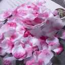 5 x CO-RODE 1200pcs Rose Petals,Artificial Flowers for Wedding,Parties,Romantic Night Atmosphere,Valentine's Day,Anniversaries,(Red Purple&White)