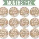6 x Hadley Designs 20 Monthly Milestone Stickers for Baby Boy or Girl, Monthly Markers for Newborn Photos, Cute Month Labels for Growth Tracking, Gender Reveal or Shower Gift (Rustic)