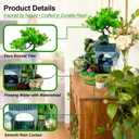 Tabletop Waterfall Fountain, Resin Indoor Desk Fountain with Color-Changing LED Lights, Quiet Pump Small Rockery Water Feature with Faux Bonsai Tree for Home, Office, Bedroom, Relaxation Decor