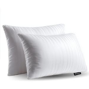 Beautyrest Luxury Goose Feathers Soft, 500 Thread Count Cover 20”x28”, Queen (Pack of 2), Supportive Fluffy Hotel Collection Side and Back Sleepers Bed Pillow, White 2