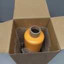 87802202 87802238 12V Fuel Pump Filter Compatible with New Holland LS180 LS190 LX865 LX885 LX985 2550 HW300 HW320 555E 575E 655E 675E Replace 87801995 87801794 87802203