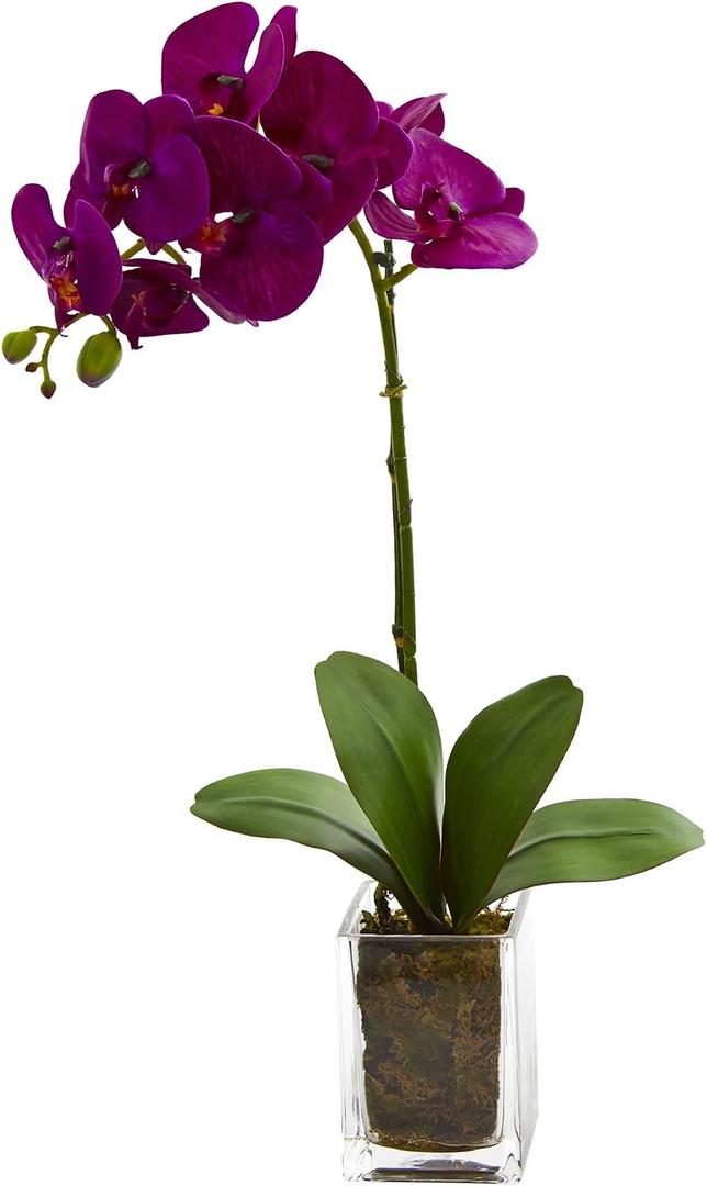 Nearly Natural 20in. Orchid Phalaenopsis Artificial Arrangement in Vase