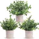 Der Rose 3 Pack Mini Potted Fake Plants Artificial Plastic Eucalyptus Plants Centerpieces for Table Home Office Desk Accessories Farmhouse Room Classroom Decor